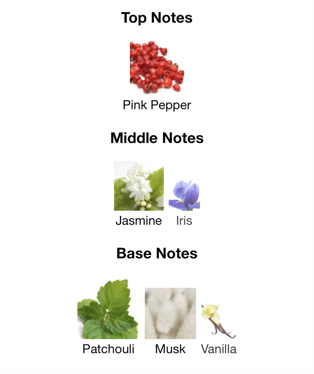 AMORÉ Eau de Parfum