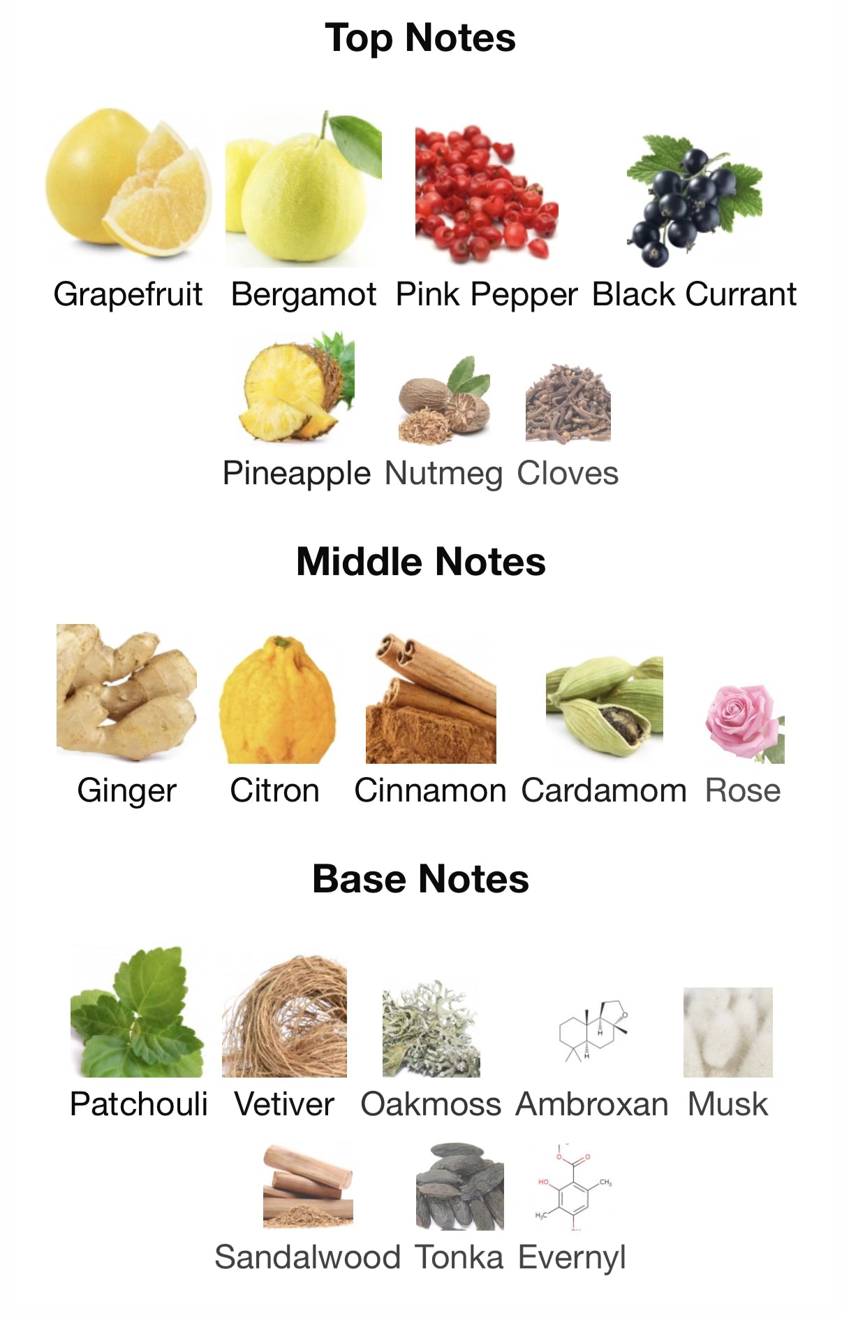 Absolutely                                     Eau de Parfum